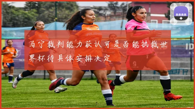 马宁裁判能力获认可是否能执裁世界杯待具体安排决定